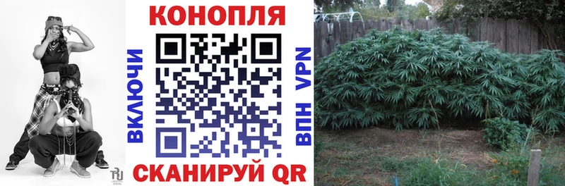 Марихуана планчик Змеиногорск